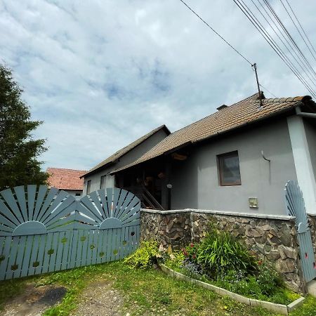 Casa De Oaspeti Cristina Fitod Bagian luar foto