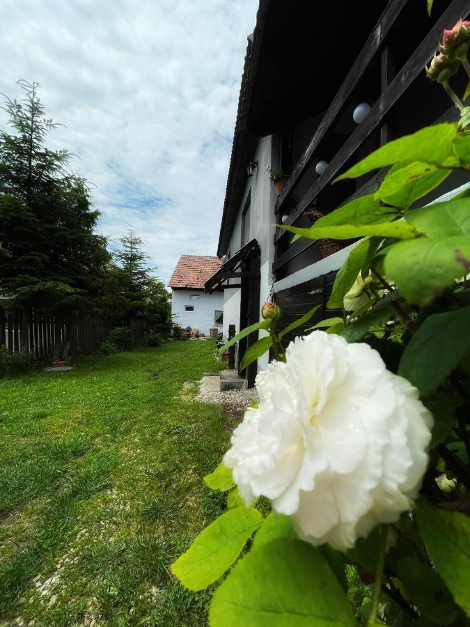 Casa De Oaspeti Cristina Fitod Bagian luar foto